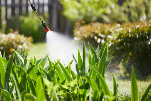 24/7 Emergency Mosquito Control experts in Dayton, IN